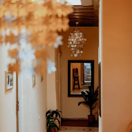 אכסניה Backpackers