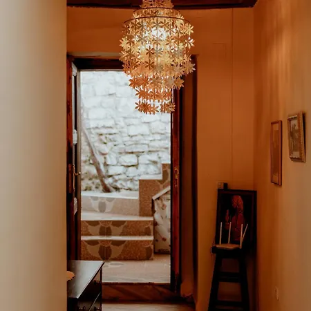 Backpackers אכסניה *