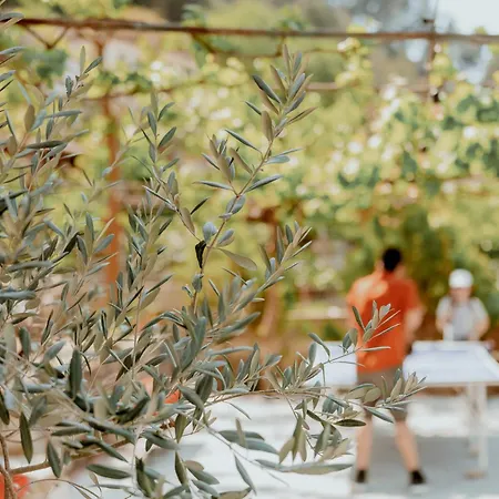 Backpackers Хостел