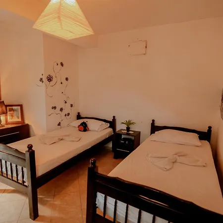 Hostel Backpackers *